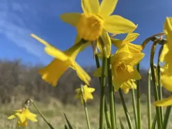 FrohNatur