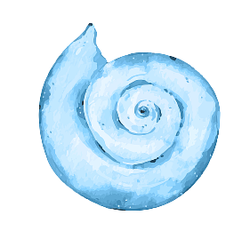 Seeschnecke