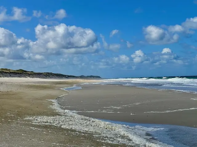 Wochen_der_Wandlung